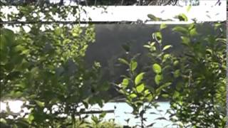 Sjolingstad   Woods /Pressure Drop  -Robert Palmer