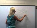 Bubble Map