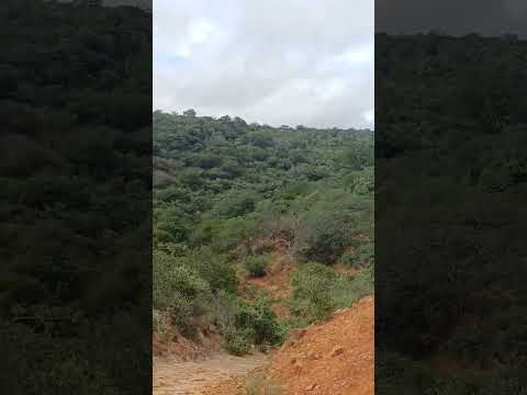 parque do boqueirão da onça Sento-Sé ba#lajedosnegros