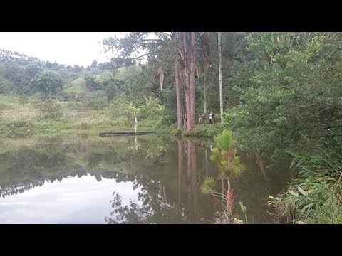 Ouro Fino: man drowns in lake
