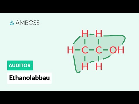 Der Ethanolabbau - AMBOSS Auditor
