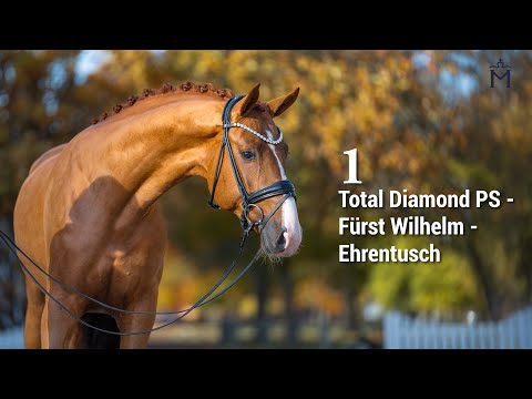 5. Mecklenburger Körtage ONLINE AUKTION Nr.1  Total Diamond PS - Fürst Wilhelm - Ehrentusch
