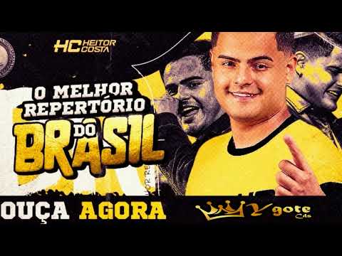 HEITOR COSTA O MELHOR REPERTÓRIO DO BRASIL - CD ATUALIZADO MÚSICAS NOVAS 2025 - ARROCHA PRA PAREDÃO