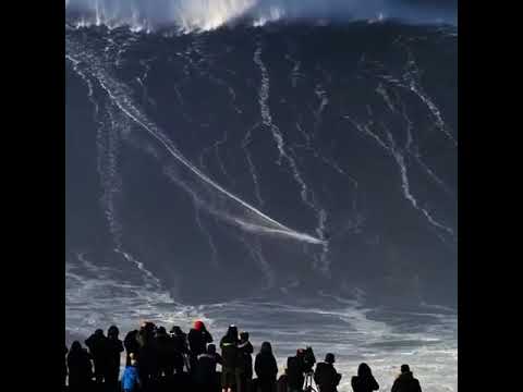 La plus Grande Vague du Monde à Nazaré / Portugal