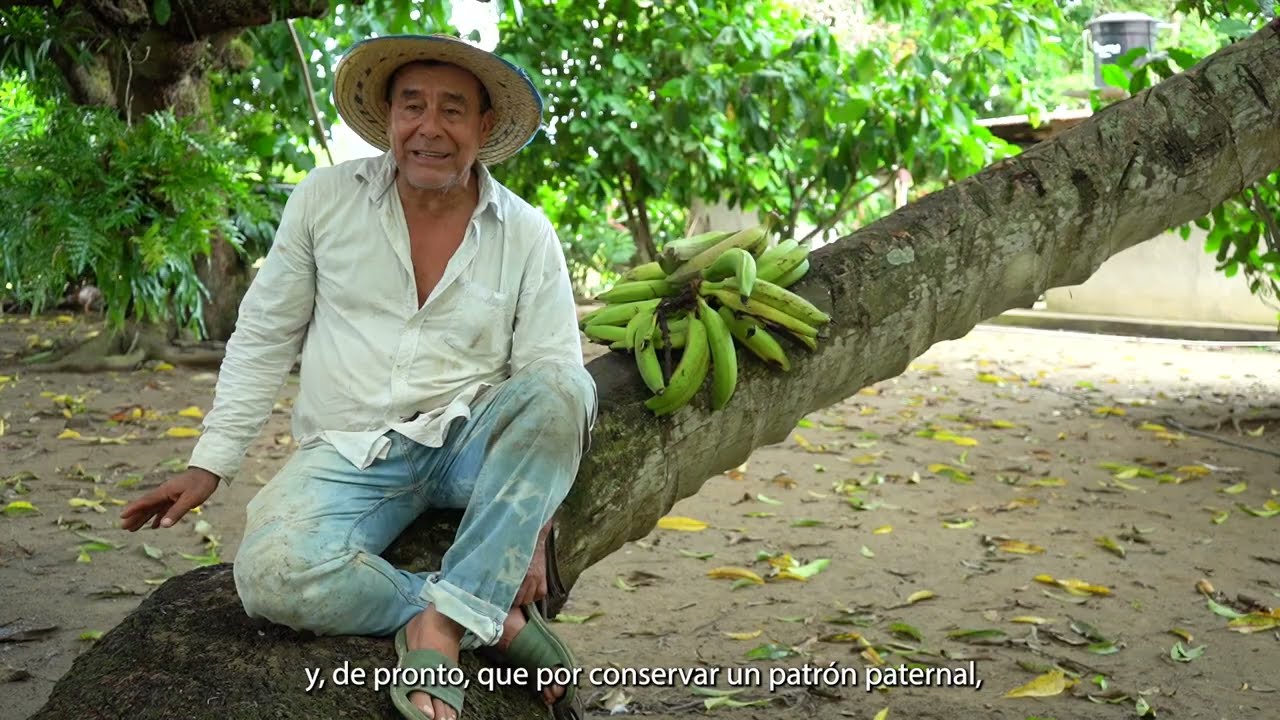 Premio ILC Rogeres - subtitulo en español