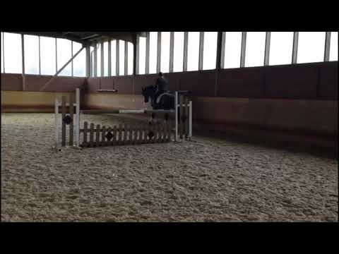 Escamillo (Escolar x Rohdiamant x De Niro)