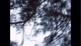 The Girl with the Bengal Lights (fin.ver.)