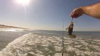 preview picture of video 'Shore Fishing Puerto Penasco (Rocky Point) Mexico June 2013 GoPro Chesty'