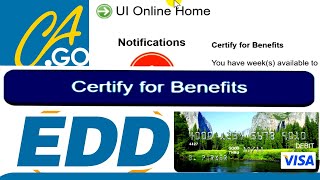 How to certify for benefits in EDD | certify for benefit Edd
