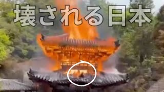 ㊗️田崎さん２位当選！神谷宗幣応援演説！