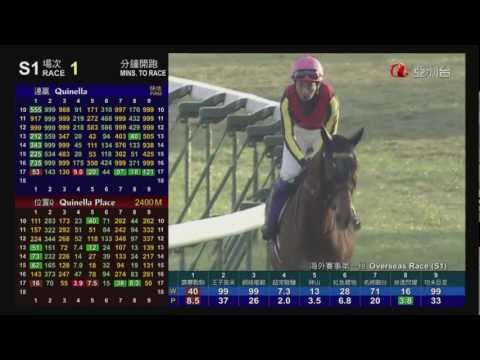 2012 日本盃 ジャパンカップ Japan Cup 貴婦人 Gentildonna ジェンティルドンナ