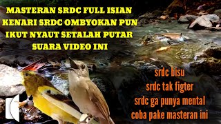 Download lagu masteran Srdc full sulingan mewah cengkok kenarian , terapi srdc biar cepat bunyi dan bongkar isian mp3 Download lagu masteran Srdc full sulingan mewah cengkok kenarian , terapi srdc biar cepat bunyi dan bongkar isian mp3
