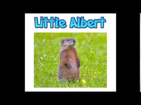 Little Albert - Drowning in Sorrow
