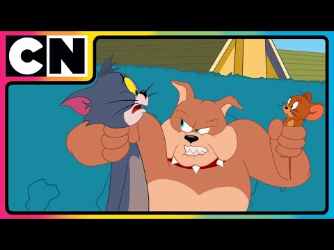 Tom and Jerry 😺🐭 | Tom and Spike's Ghostly Gamble! | Cat and Mouse | Compilation | @cnindia