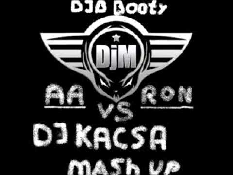 Paul Kalkbrenner - Aaron vs. Brighter Days (DJ B Booty & DJ Kacsa Mash Up)