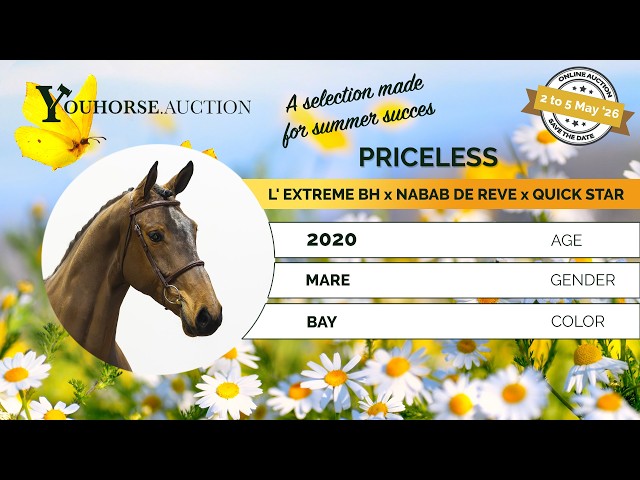 Priceless