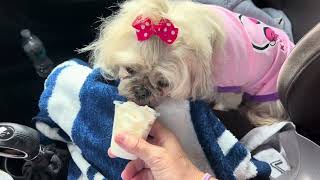 Download lagu https://youtube.com/shorts/omjaLuZXyfQ?si=10YBGlvznoI3zTth mp3