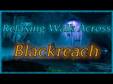 Relaxing Walk Across Blackreach (Skyrim) 4k