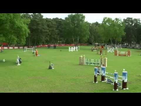 Vilma Catani - Brooklynn (Padinus-Larome)