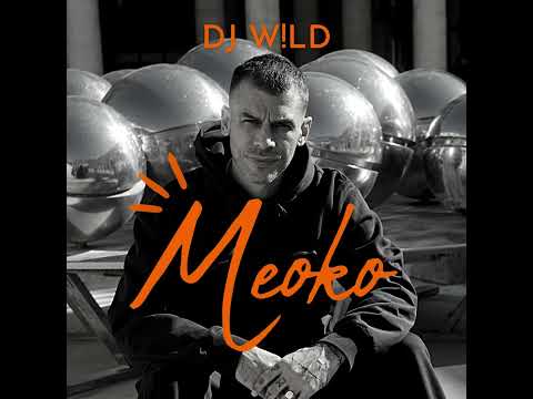 MEOKO Podcast Series | DJ W!LD
