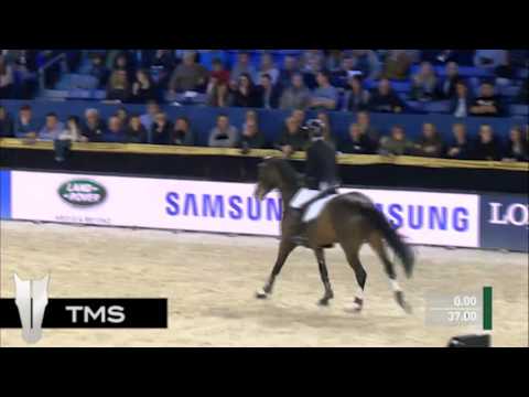 Luigi d'Eclipse, 4th place Stallion Competition 5-years old