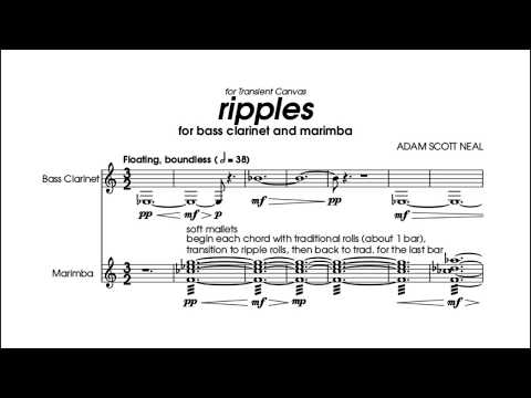 ripples (2015) for bass clarinet and marimba [score video]