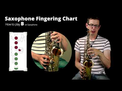 How to play low B on Alto Saxophone | Notes on Saxophone series