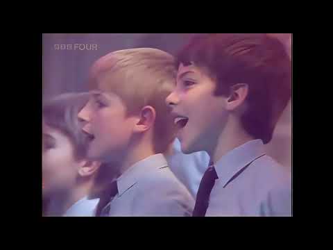 Sal Solo -  Sandamiano ( Live enhanced audio & video)