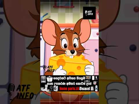 2 Biggest Myths We All Believed! 🤯 #facts #interestingfacts #sinhala #atfinfo #fyp