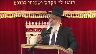 הלכות חג סוכות ושמחת תורה | הרב יורם סרי