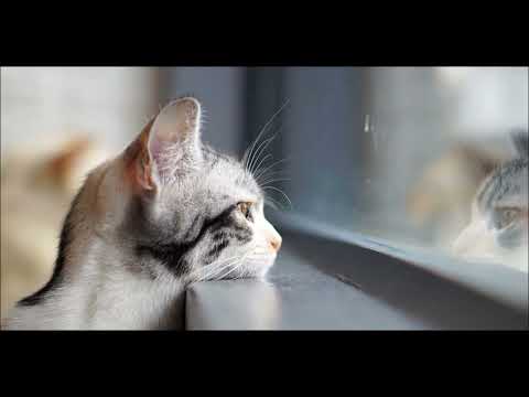 Uk happy Hardcore 2022 Mix By Ben Journiee