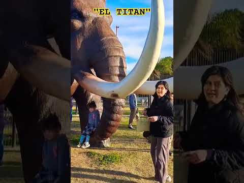 Parque de las Infancias: Puerto Gral San Martin. #viajandoconcefer #argentina