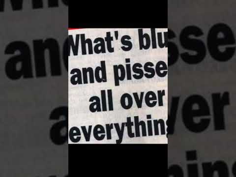 HEY SHADOW LONG TIME NO PEE- Caddicarus