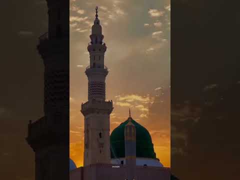 Qalbi fil Madina🫶🏻❤️