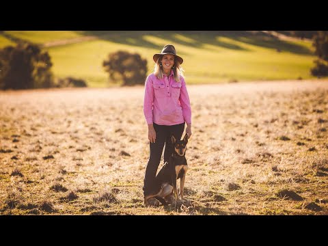 We Want You Back in Cowra, Central NSW. Jo Treasure.