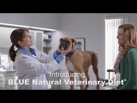 Blue Buffalo Natural Veterinary Diet - GI Gastrointestinal Support Dry Cat Food (4x7 lb) Video