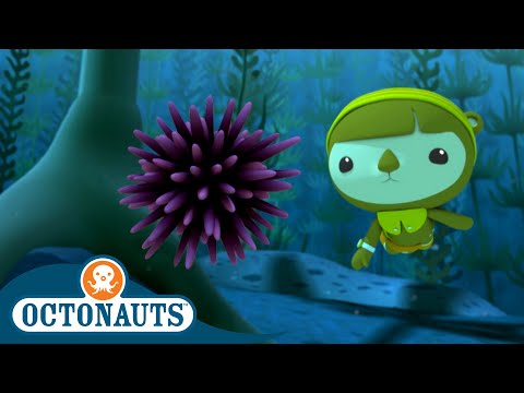Octonauts - The Urchin Invasion | Cartoons for Kids | Underwater Sea Education