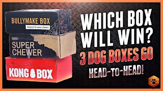 Which Dog Subscription Box Will Win? Bark Box, Bullymake, and Kong Comparison 2020!