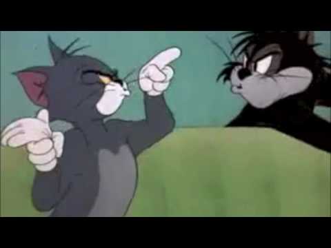 Is it True (Tom and Jerry: Tom's Girlfriend)