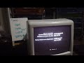 Closing Down To Buddy 1997 VHS