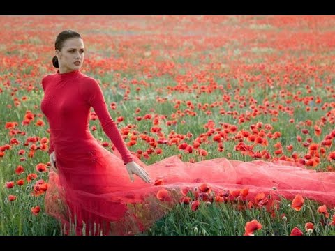 SOUL          DJ Artak Feat. Sone Silver