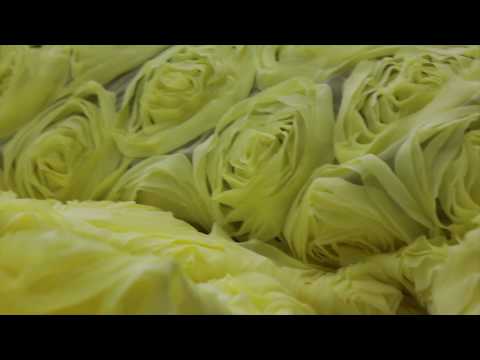 Подготовка к показу Mercedes-Benz Fashion Week Russia Bella Potemkina spring-summer 2017