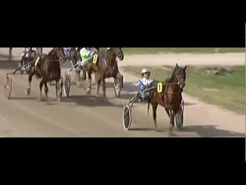 Starello 1:16,2_Heinz Wewering_Preis der Elbe 2012