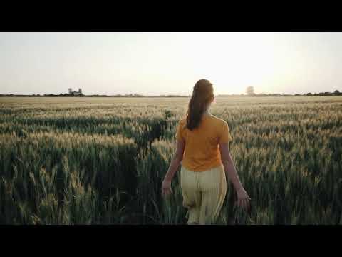 Walking in the Field