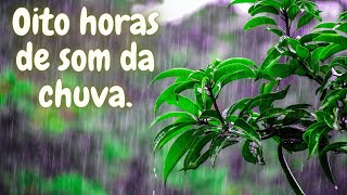 OITO HORAS DE SOM DA CHUVA PARA VOC DORMIR PROFUNDAMENTE.