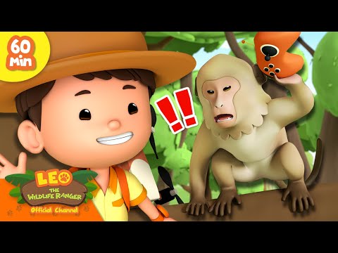 Witness21 Editor  2024 12 07