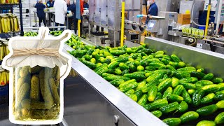 How Pickles Are Made In Factory -  How It