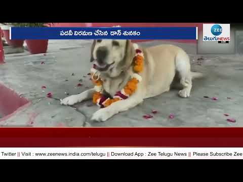 Army Don Dog: 7 ఏండ్ల తర్వాత ఆర్మీ డాగ్ రిటైర్మెంట్ | Army Dog | UP | Madhura | ZEE Telugu News