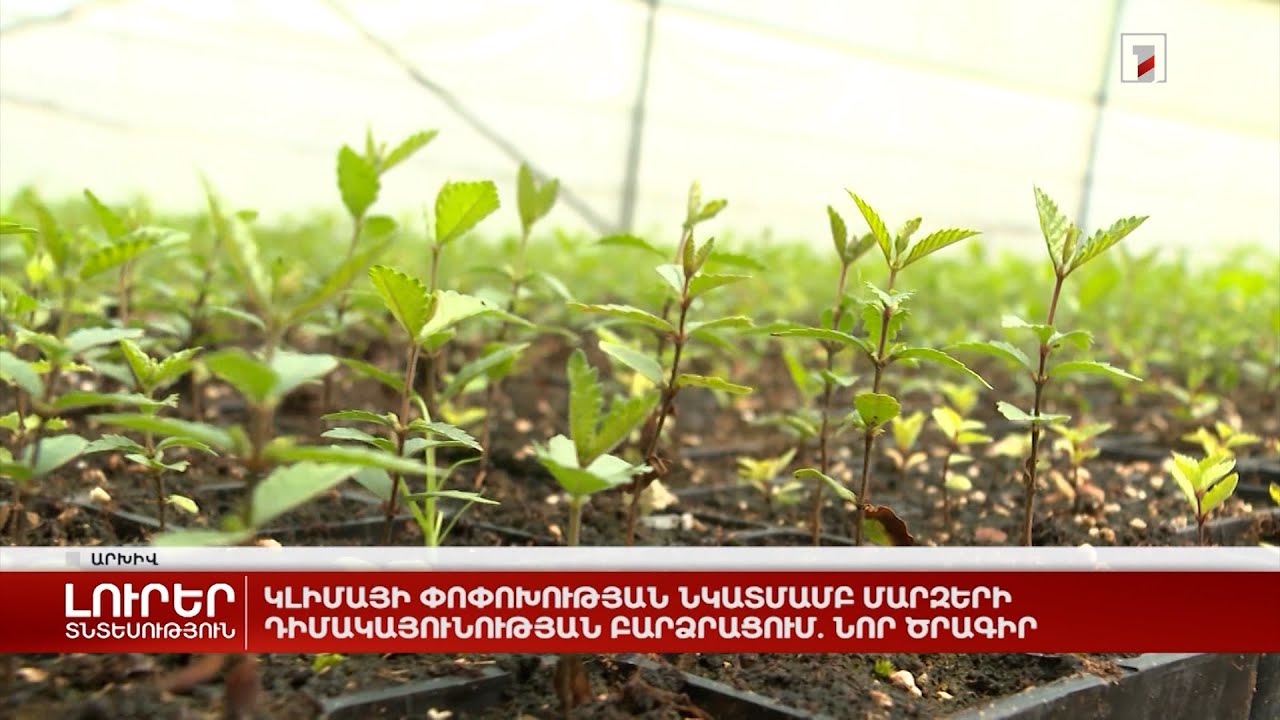 Կլիմայի փոփոխության նկատմամբ մարզերի դիմակայունության բարձրացում. նոր ծրագիր