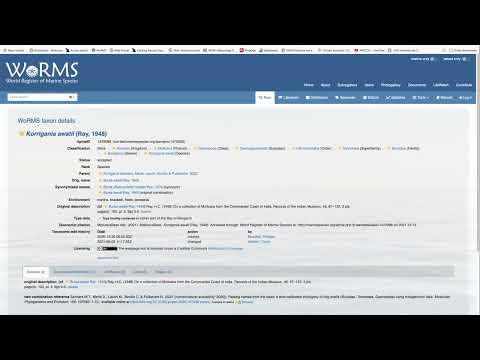 Adding WoRMS via Arctos classification names